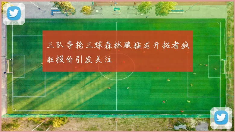 三队争抢三球森林狼猛龙开拓者疯狂报价引发关注